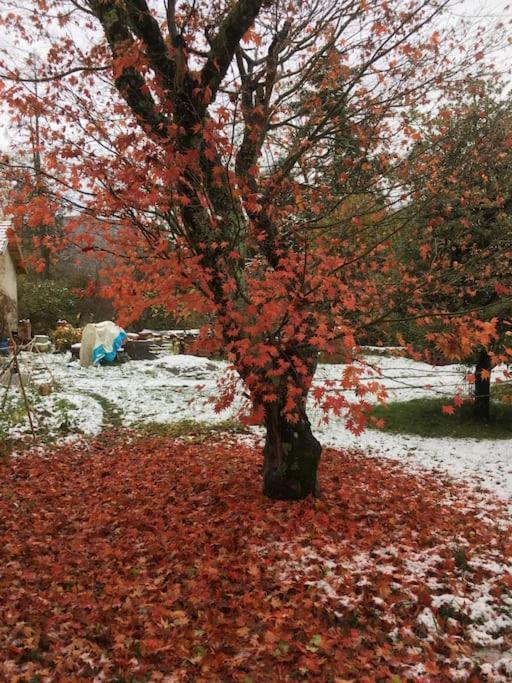 Villa Lerable Pourpre De La Grotte Au Lion Arbon Exterior foto